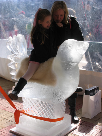 ice bird ride