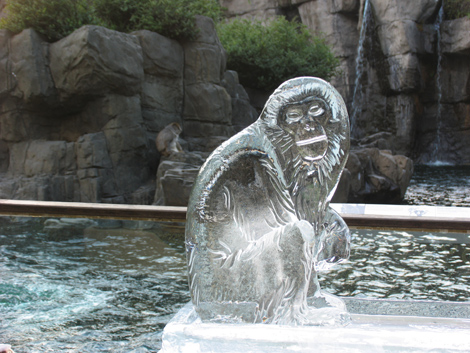 icemonkey.jpg