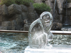 ice monkey thumb