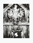 chandelier & bear