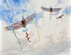 eagle kites thumb