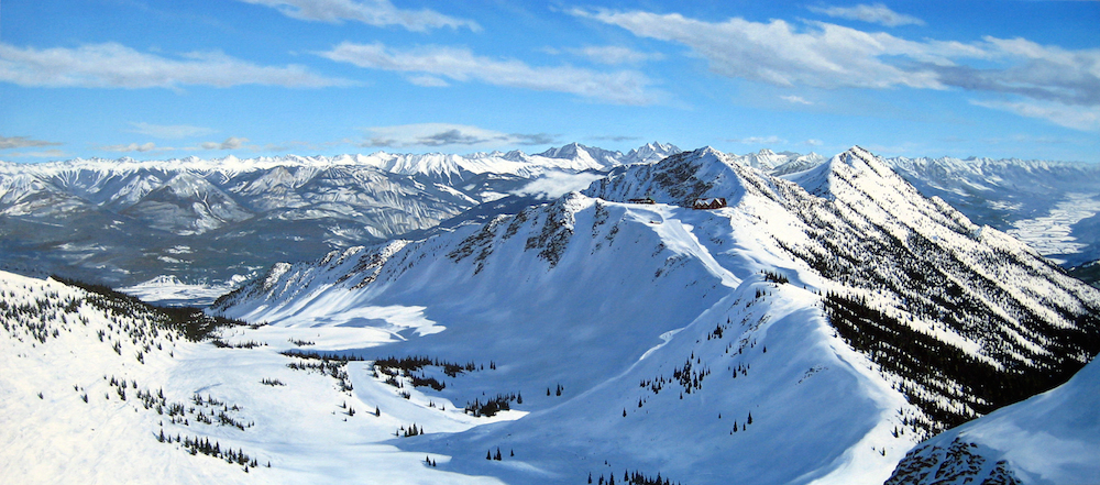 kicking horse