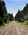 something in the road thumb